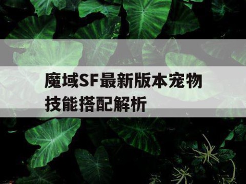 魔域SF最新版本宠物技能搭配解析