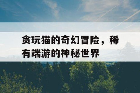 贪玩猫的奇幻冒险，稀有端游的神秘世界
