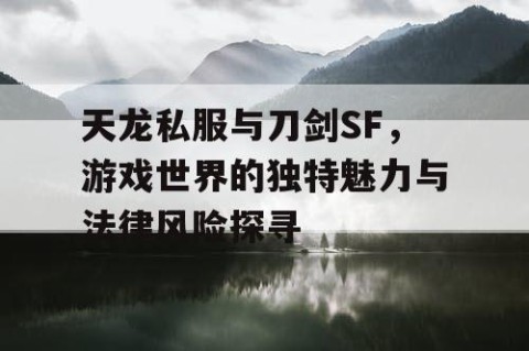 天龙私服与刀剑SF，游戏世界的独特魅力与法律风险探寻