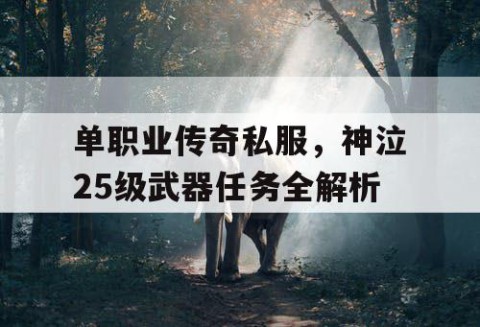 单职业传奇私服,神泣25级武器任务全解析