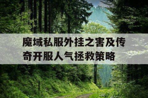 魔域私服外挂之害及传奇开服人气拯救策略