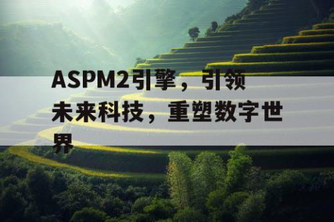 ASPM2引擎，引领未来科技，重塑数字世界