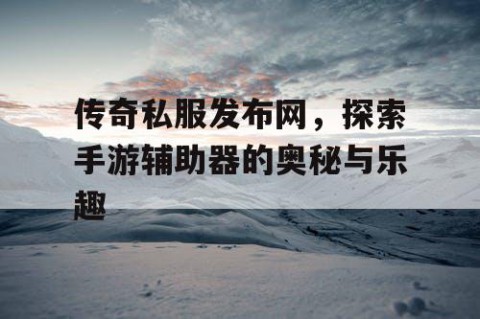 传奇私服发布网,探索手游辅助器的奥秘与乐趣