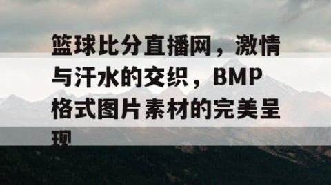 篮球比分直播网，激情与汗水的交织，BMP格式图片素材的完美呈现