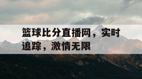 篮球比分直播网，实时追踪，激情无限