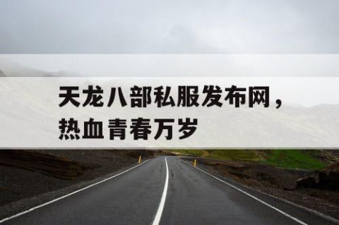 天龙八部私服发布网，热血青春万岁