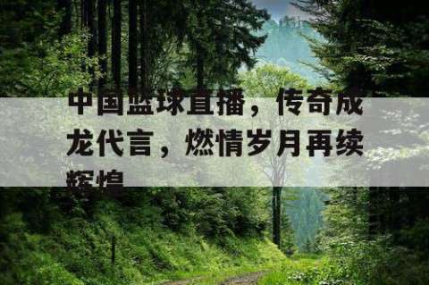 中国篮球直播,传奇成龙代言,燃情岁月再续辉煌