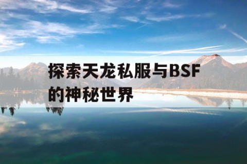 探索天龙私服与BSF的神秘世界