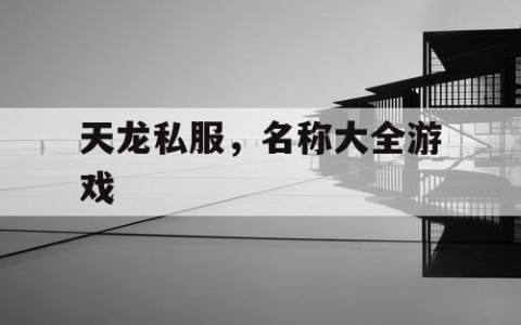天龙私服，名称大全游戏