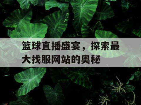 篮球直播盛宴，探索最大找服网站的奥秘