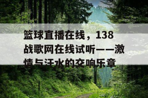 篮球直播在线，138战歌网在线试听——激情与汗水的交响乐章