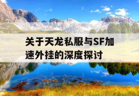 关于天龙私服与SF加速外挂的深度探讨