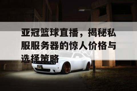 亚冠篮球直播，揭秘私服服务器的惊人价格与选择策略