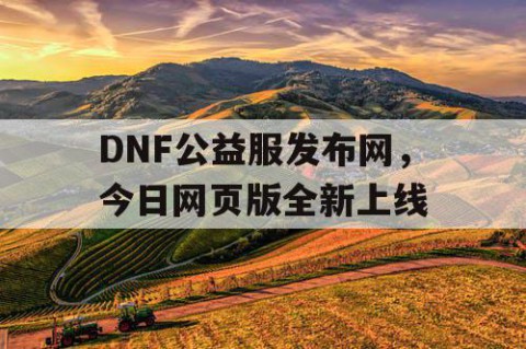 DNF公益服发布网，今日网页版全新上线