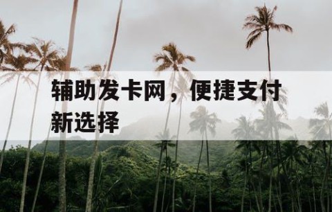 辅助发卡网，便捷支付新选择