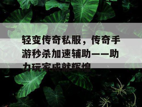 轻变传奇私服,传奇手游秒杀加速辅助——助力玩家成就辉煌