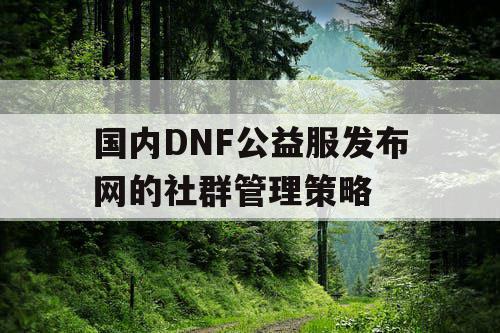 国内DNF公益服发布网的社群管理策略