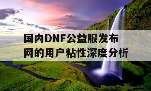 国内DNF公益服发布网的用户粘性深度分析