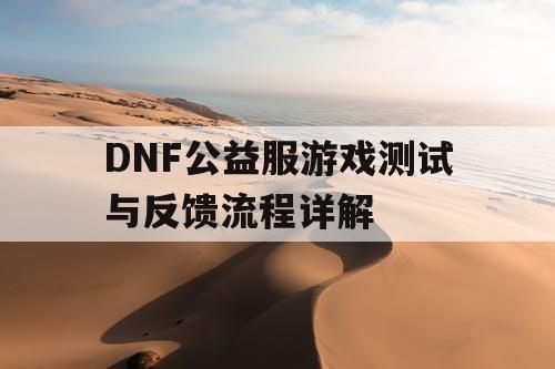 DNF公益服游戏测试与反馈流程详解