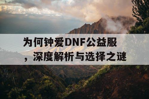 为何钟爱DNF公益服，深度解析与选择之谜