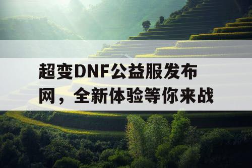 超变DNF公益服发布网，全新体验等你来战