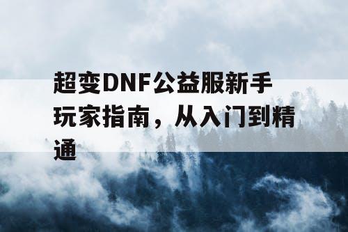 超变DNF公益服新手玩家指南，从入门到精通