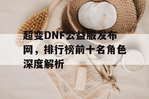 超变DNF公益服发布网，排行榜前十名角色深度解析