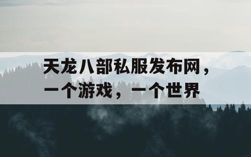 天龙八部私服发布网，一个游戏，一个世界