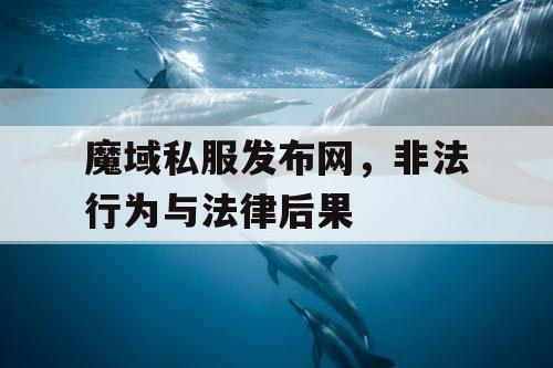 魔域私服发布网，非法行为与法律后果