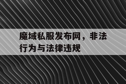 魔域私服发布网，非法行为与法律违规