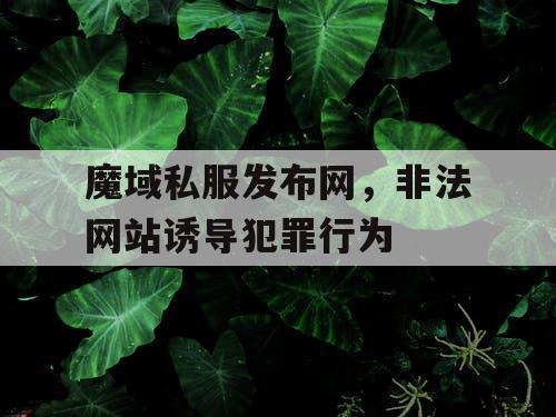 魔域私服发布网，非法网站诱导犯罪行为