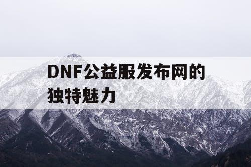 DNF公益服发布网的独特魅力