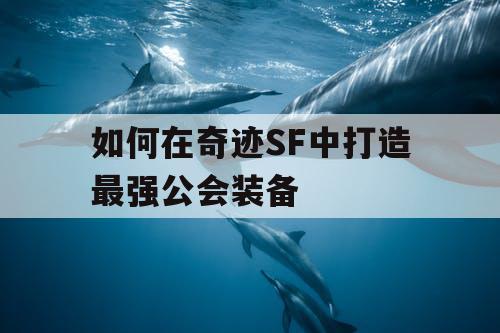 如何在奇迹SF中打造最强公会装备