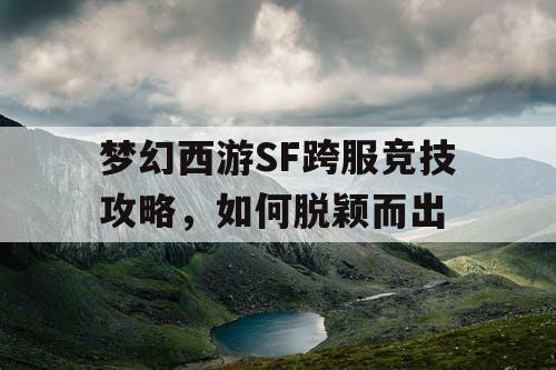 梦幻西游SF跨服竞技攻略，如何脱颖而出