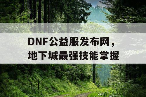 DNF公益服发布网，地下城最强技能掌握