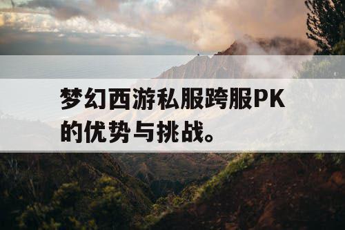 梦幻西游私服跨服PK的优势与挑战。