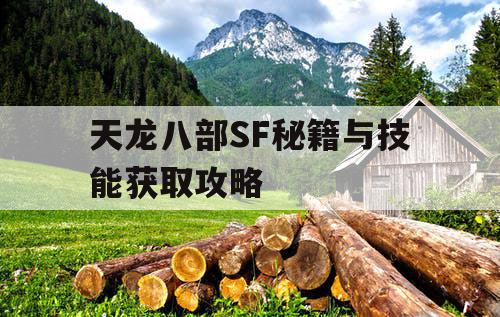 天龙八部SF秘籍与技能获取攻略