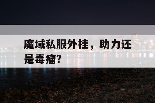 魔域私服外挂，助力还是毒瘤？