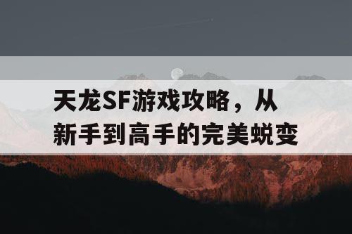 天龙SF游戏攻略，从新手到高手的完美蜕变