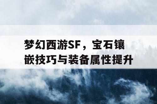 梦幻西游SF，宝石镶嵌技巧与装备属性提升