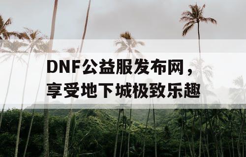 DNF公益服发布网，享受地下城极致乐趣