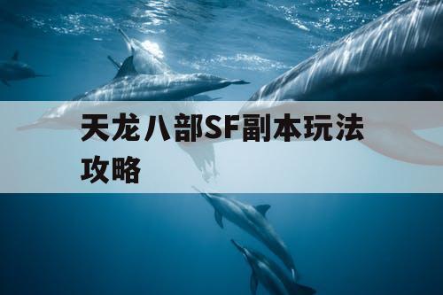 天龙八部SF副本玩法攻略