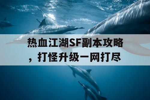 热血江湖SF副本攻略，打怪升级一网打尽