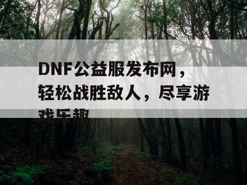 DNF公益服发布网，轻松战胜敌人，尽享游戏乐趣