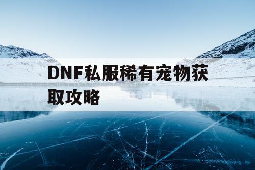 DNF私服稀有宠物获取攻略