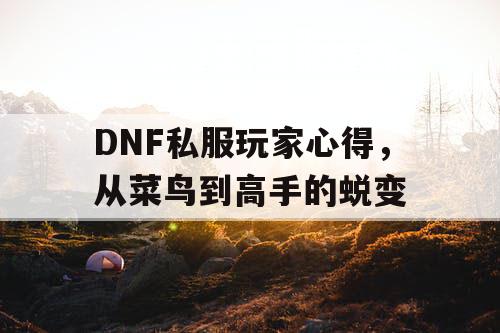 DNF私服玩家心得，从菜鸟到高手的蜕变