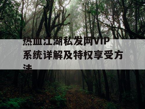 热血江湖私发网VIP系统详解及特权享受方法