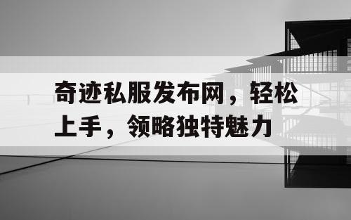 奇迹私服发布网，轻松上手，领略独特魅力