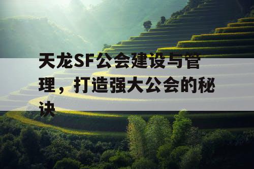 天龙SF公会建设与管理，打造强大公会的秘诀