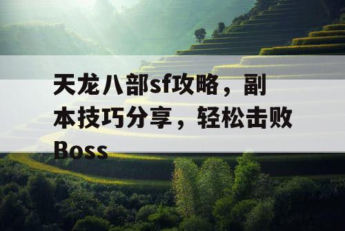 天龙八部sf攻略，副本技巧分享，轻松击败Boss